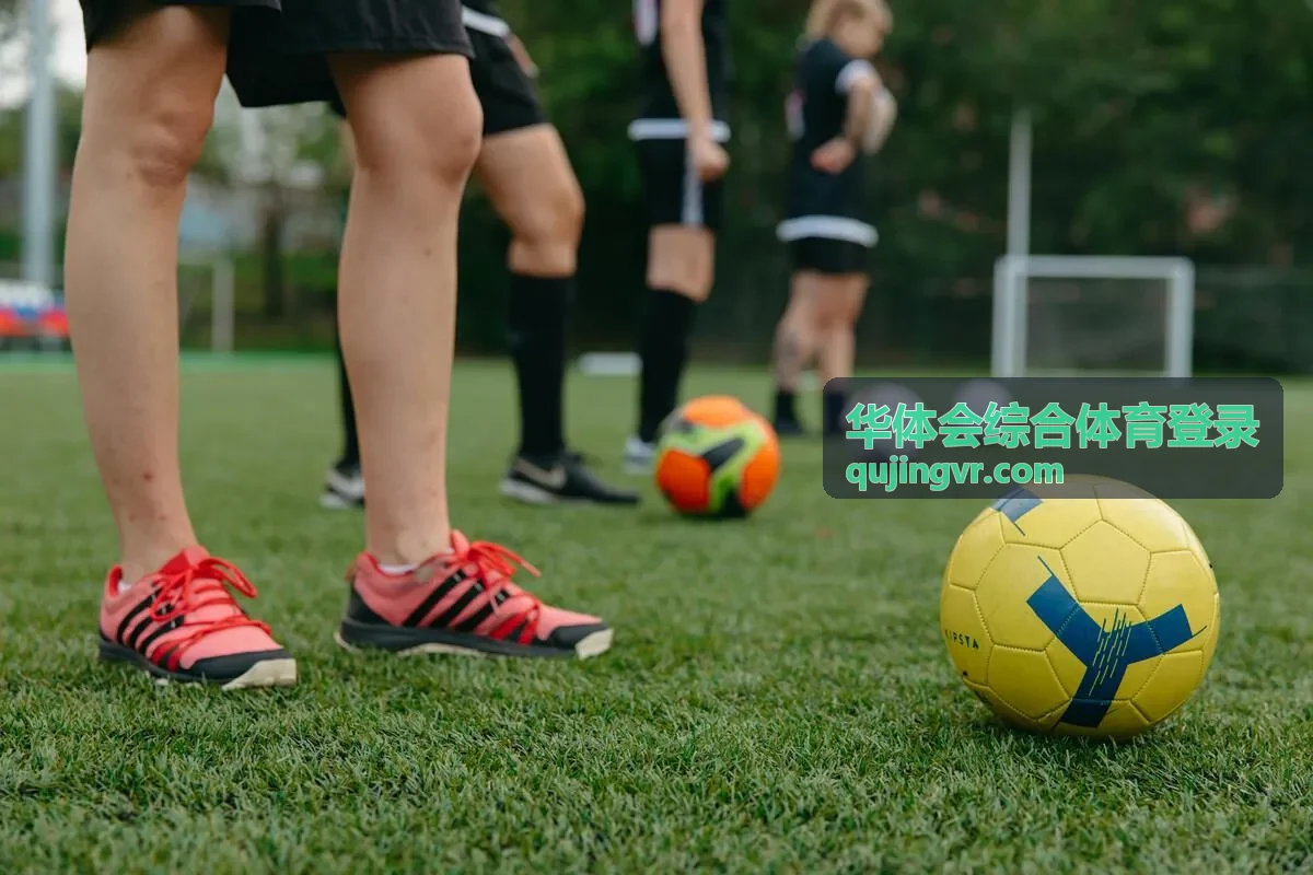 华体会综合体育登录账号登录页界面